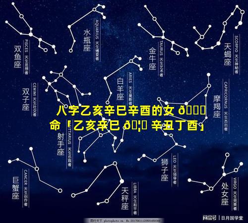 八字乙亥辛巳辛酉的女 🐈 命「乙亥辛巳 🦍 辛丑丁酉」